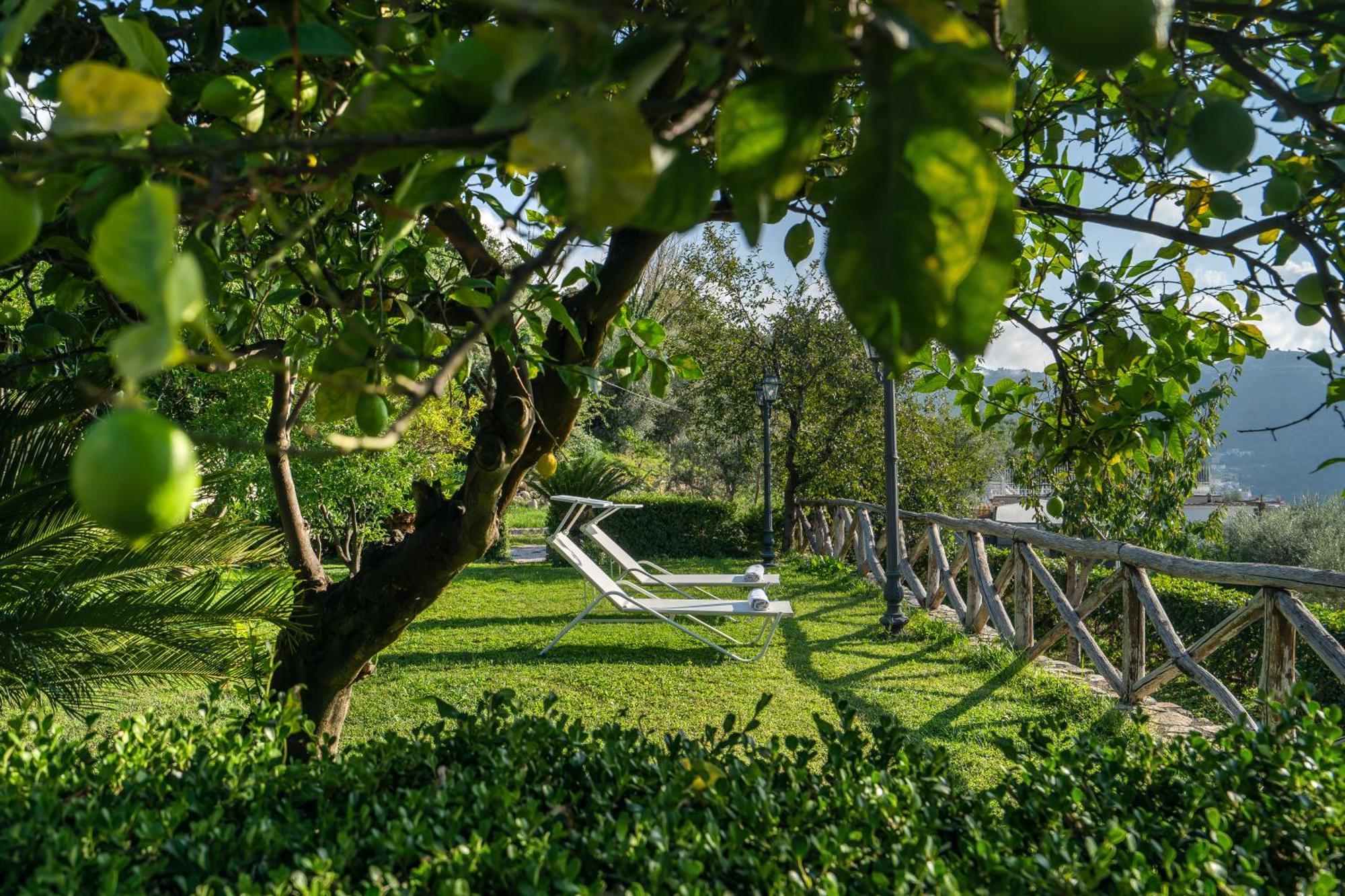 Villa Prota Vico Equense Zewnętrze zdjęcie